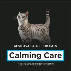 Purina Pro Plan Veterinary Diets Calming Care Liver Flavored Powder Calming Supplement For Dogs -Pet Wellness 684718 PT6. AC SS1800 V1700159370