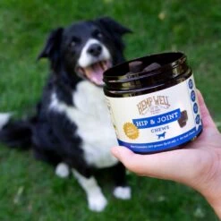 Hemp Well Hip & Joint Soft Chew Supplement For Dogs, 30 Count -Pet Wellness 685246 PT7. AC SS1800 V1700689851