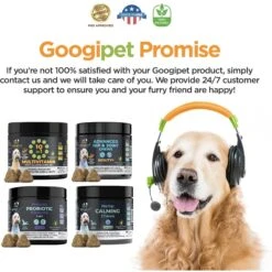 Googipet 10-in-1 Multivitamin Chicken & Vegetable Flavored Soft Chew Supplement For Dogs, 90 Count 12 Googipet 10-in-1 Multivitamin Chicken & Vegetable Flavored Soft Chew Supplement For Dogs, 90 Count -Pet Wellness 685526 PT5. AC SS1800 V1695931862