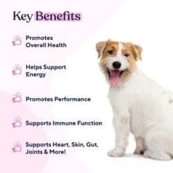 Pawfy Multivitamin Peanut Butter Flavor Supplement For Dogs -Pet Wellness 689694 PT2. AC SS1800 V1666839359