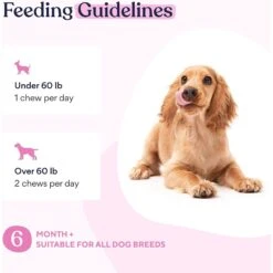 Pawfy Multivitamin Peanut Butter Flavor Supplement For Dogs -Pet Wellness 689694 PT5. AC SS1800 V1666839204