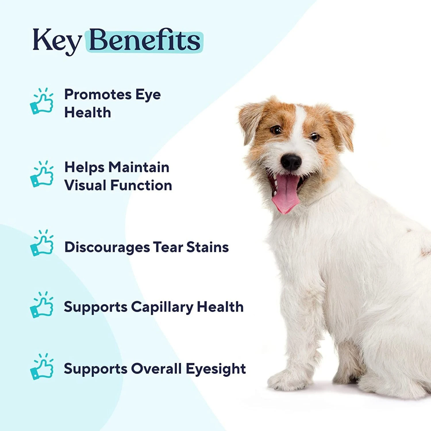 Pawfy Eye Support Peanut Butter Flavor Supplement For Dogs 3 Pawfy Eye Support Peanut Butter Flavor Supplement For Dogs - Image 3