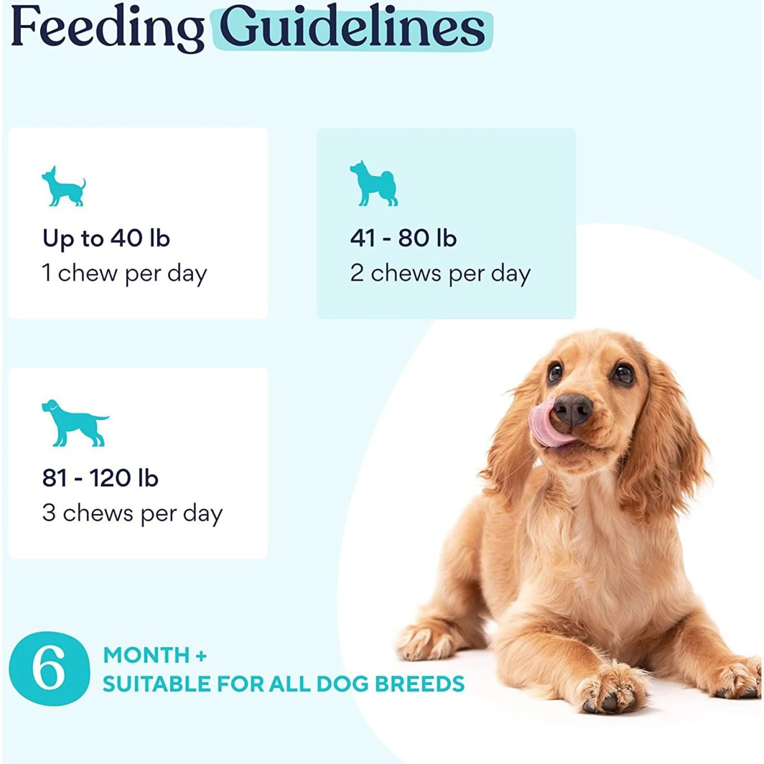 Pawfy Eye Support Peanut Butter Flavor Supplement For Dogs 6 Pawfy Eye Support Peanut Butter Flavor Supplement For Dogs - Image 6