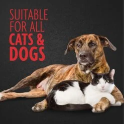 FURminator Nail Grinder Replacement Bands 13 FURminator Nail Grinder Replacement Bands -Pet Wellness 69186 PT4. AC SS1800 V1701452266