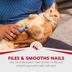 FURminator Nail Grinder Replacement Bands 14 FURminator Nail Grinder Replacement Bands -Pet Wellness 69186 PT5. AC SS1800 V1701452264