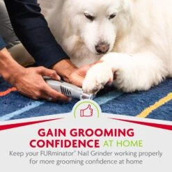 FURminator Nail Grinder Replacement Bands 16 FURminator Nail Grinder Replacement Bands -Pet Wellness 69186 PT7. AC SS1800 V1701452260