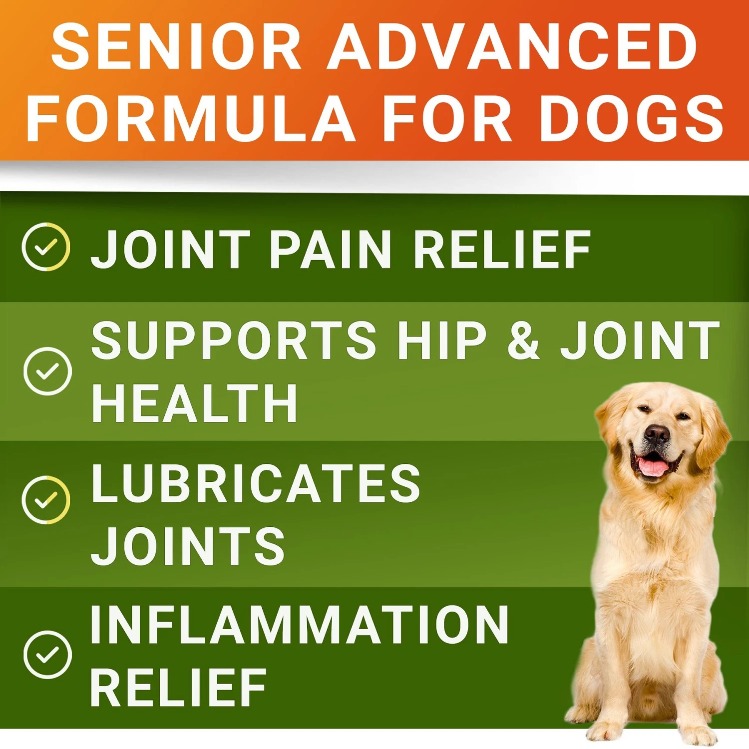 StrellaLab Senior Advanced Glucosamine Omega-3 Bacon Flavored Soft Chew Hip & Joint Supplement For Dogs 2 StrellaLab Senior Advanced Glucosamine Omega-3 Bacon Flavored Soft Chew Hip & Joint Supplement For Dogs - Image 2