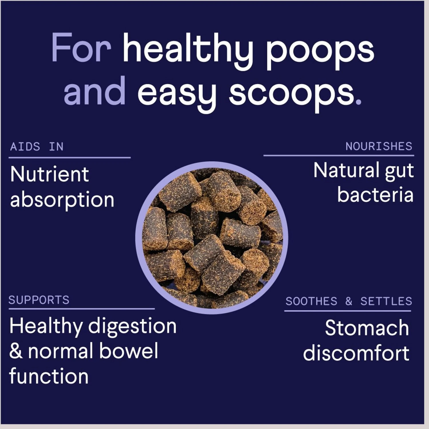 Finn Digestive Prebiotic & Probiotic Supplement For Dogs, 90 Count & Finn Skin & Coat Wild Alaskan Salmon Oil Dog Supplement, 90 Count 5 Finn Digestive Prebiotic & Probiotic Supplement For Dogs, 90 Count & Finn Skin & Coat Wild Alaskan Salmon Oil Dog Supplement, 90 Count - Image 5