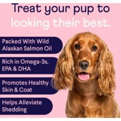 Finn Digestive Prebiotic & Probiotic Supplement For Dogs, 90 Count & Finn Skin & Coat Wild Alaskan Salmon Oil Dog Supplement, 90 Count 17 Finn Digestive Prebiotic & Probiotic Supplement For Dogs, 90 Count & Finn Skin & Coat Wild Alaskan Salmon Oil Dog Supplement, 90 Count -Pet Wellness 692670 PT8. AC SS1800 V1668024162