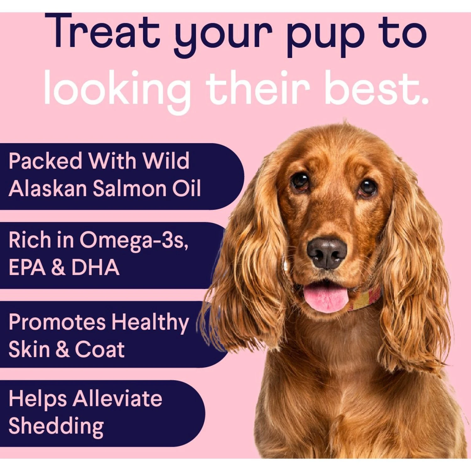 Finn Digestive Prebiotic & Probiotic Supplement For Dogs, 90 Count & Finn Skin & Coat Wild Alaskan Salmon Oil Dog Supplement, 90 Count 9 Finn Digestive Prebiotic & Probiotic Supplement For Dogs, 90 Count & Finn Skin & Coat Wild Alaskan Salmon Oil Dog Supplement, 90 Count - Image 9