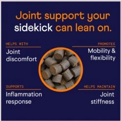 Finn Hip & Joint Dog Supplement, 90 Count & Finn Digestive Prebiotic & Probiotic Supplement For Dogs, 90 Count -Pet Wellness 692678 PT4. AC SS1800 V1668024635