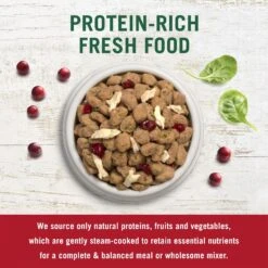 Freshpet Dognation Turkey Bacon Grain-Free Fresh Dog Treats, 3-oz Bag, Case Of 6 & Freshpet Vital Chicken Recipe Grain-Free Small Breed Fresh Dog Food -Pet Wellness 693182 PT5. AC SS1800 V1668627001