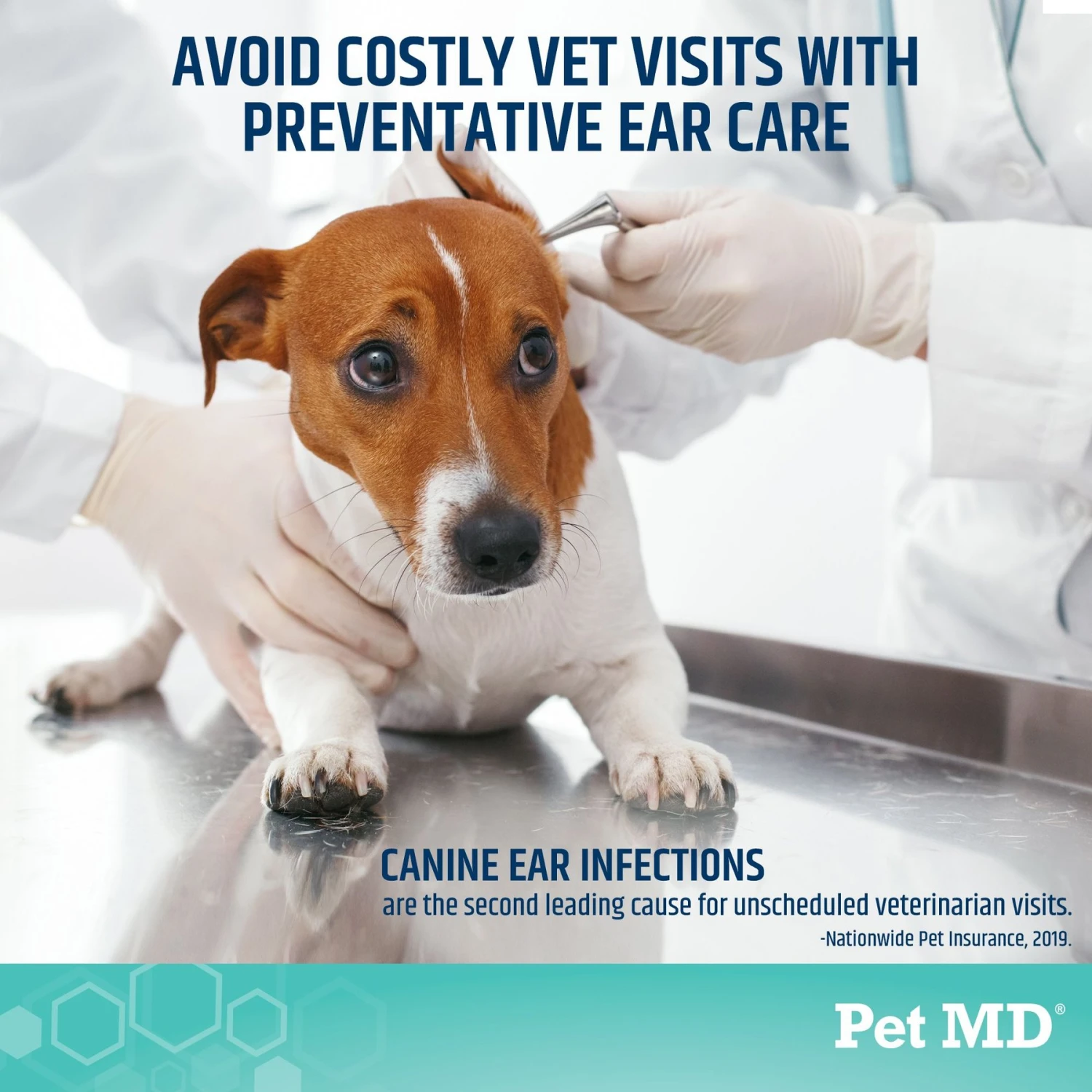 Pet MD Otic-Clean With Sugar Cookie Scent Dog & Cat Supplement, 8-oz Bottle 4 Pet MD Otic-Clean With Sugar Cookie Scent Dog & Cat Supplement, 8-oz Bottle - Image 4