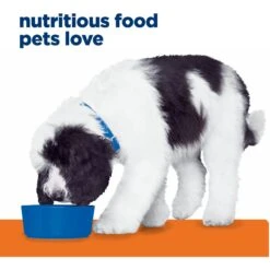 Hill's Prescription Diet C/d Multicare Urinary Care Chicken Flavor Wet Dog Food -Pet Wellness 69743 PT3. AC SS1800 V1687986100