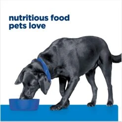 Hill's Prescription Diet D/d Skin/Food Sensitivities Salmon Formula Canned Dog Food 15 Hill's Prescription Diet D/d Skin/Food Sensitivities Salmon Formula Canned Dog Food -Pet Wellness 69748 PT6. AC SS1800 V1672947916