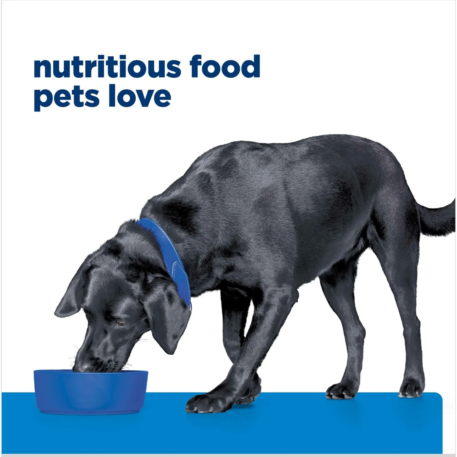 Hill's Prescription Diet D/d Skin/Food Sensitivities Salmon Formula Canned Dog Food 7 Hill's Prescription Diet D/d Skin/Food Sensitivities Salmon Formula Canned Dog Food - Image 7
