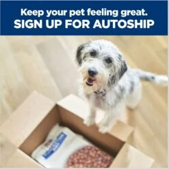 Hill's Prescription Diet D/d Skin/Food Sensitivities Salmon Formula Canned Dog Food 17 Hill's Prescription Diet D/d Skin/Food Sensitivities Salmon Formula Canned Dog Food -Pet Wellness 69748 PT8. AC SS1800 V1672948210