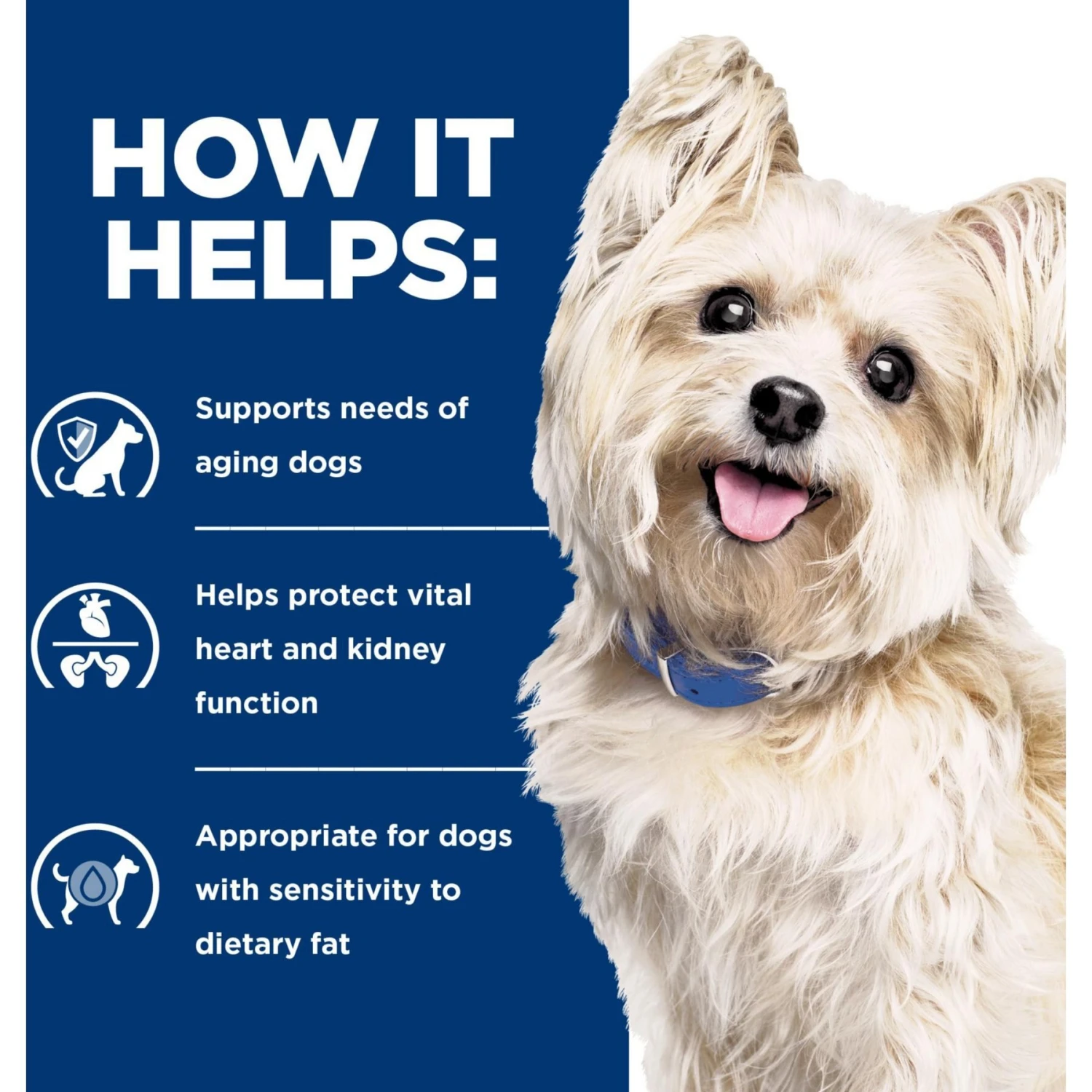 Hill's Prescription Diet G/d Aging Care Chicken Flavor Dry Senior Dog Food 4 Hill's Prescription Diet G/d Aging Care Chicken Flavor Dry Senior Dog Food - Image 4