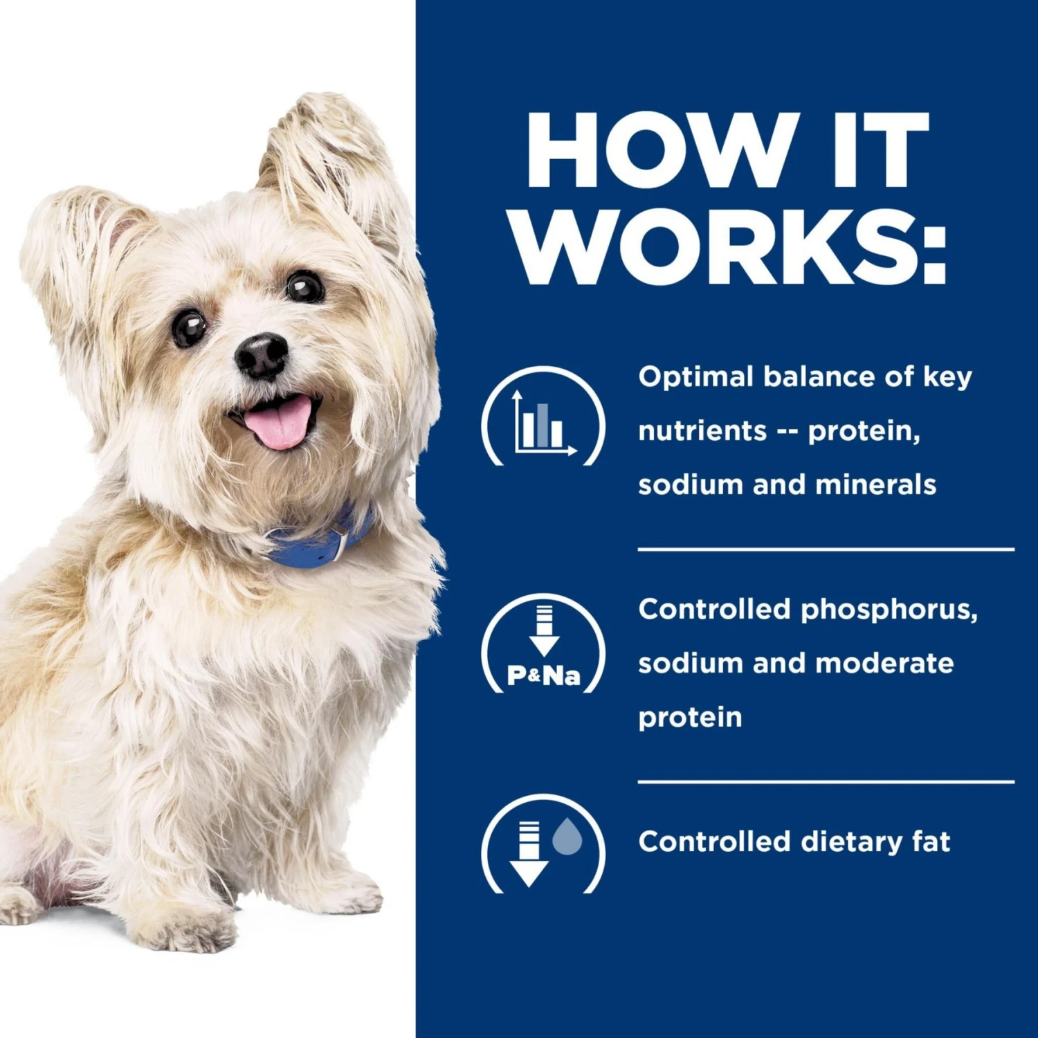 Hill's Prescription Diet G/d Aging Care Chicken Flavor Dry Senior Dog Food 5 Hill's Prescription Diet G/d Aging Care Chicken Flavor Dry Senior Dog Food - Image 5