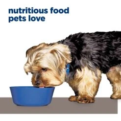 Hill's Prescription Diet L/d Liver Care Chicken Flavor Dry Dog Food -Pet Wellness 69776 PT7. AC SS1800 V1668547814