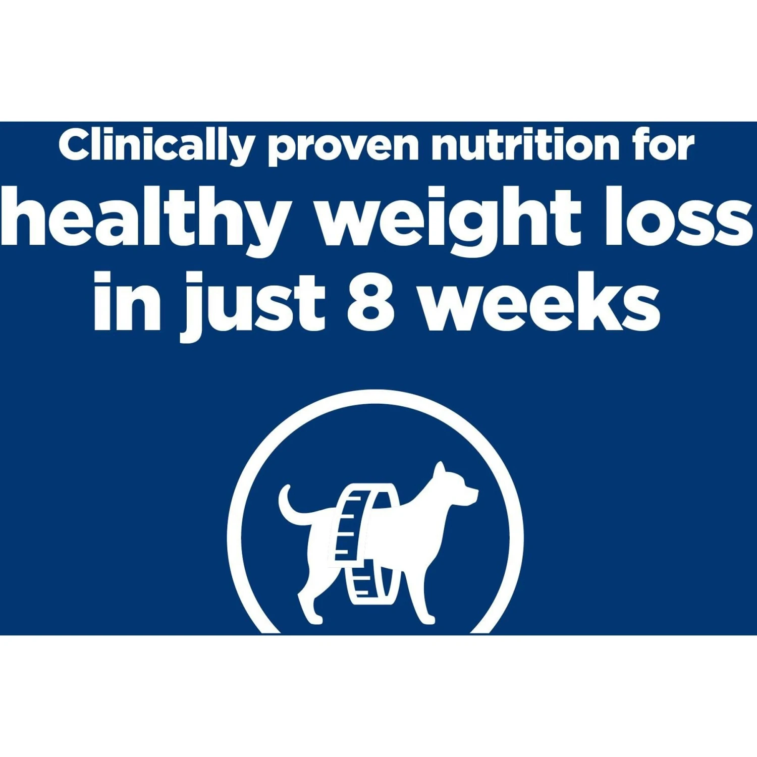 Hill's Prescription Diet R/d Weight Reduction Chicken Flavor Dry Dog Food 2 Hill's Prescription Diet R/d Weight Reduction Chicken Flavor Dry Dog Food - Image 2