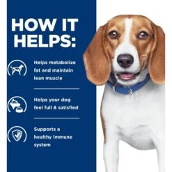 Hill's Prescription Diet R/d Weight Reduction Chicken Flavor Dry Dog Food 14 Hill's Prescription Diet R/d Weight Reduction Chicken Flavor Dry Dog Food -Pet Wellness 69786 PT5. AC SS1800 V1657661020