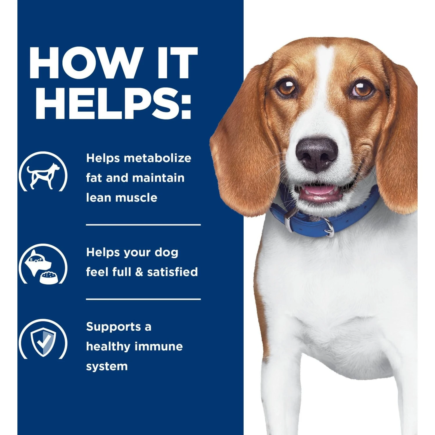 Hill's Prescription Diet R/d Weight Reduction Chicken Flavor Dry Dog Food 6 Hill's Prescription Diet R/d Weight Reduction Chicken Flavor Dry Dog Food - Image 6