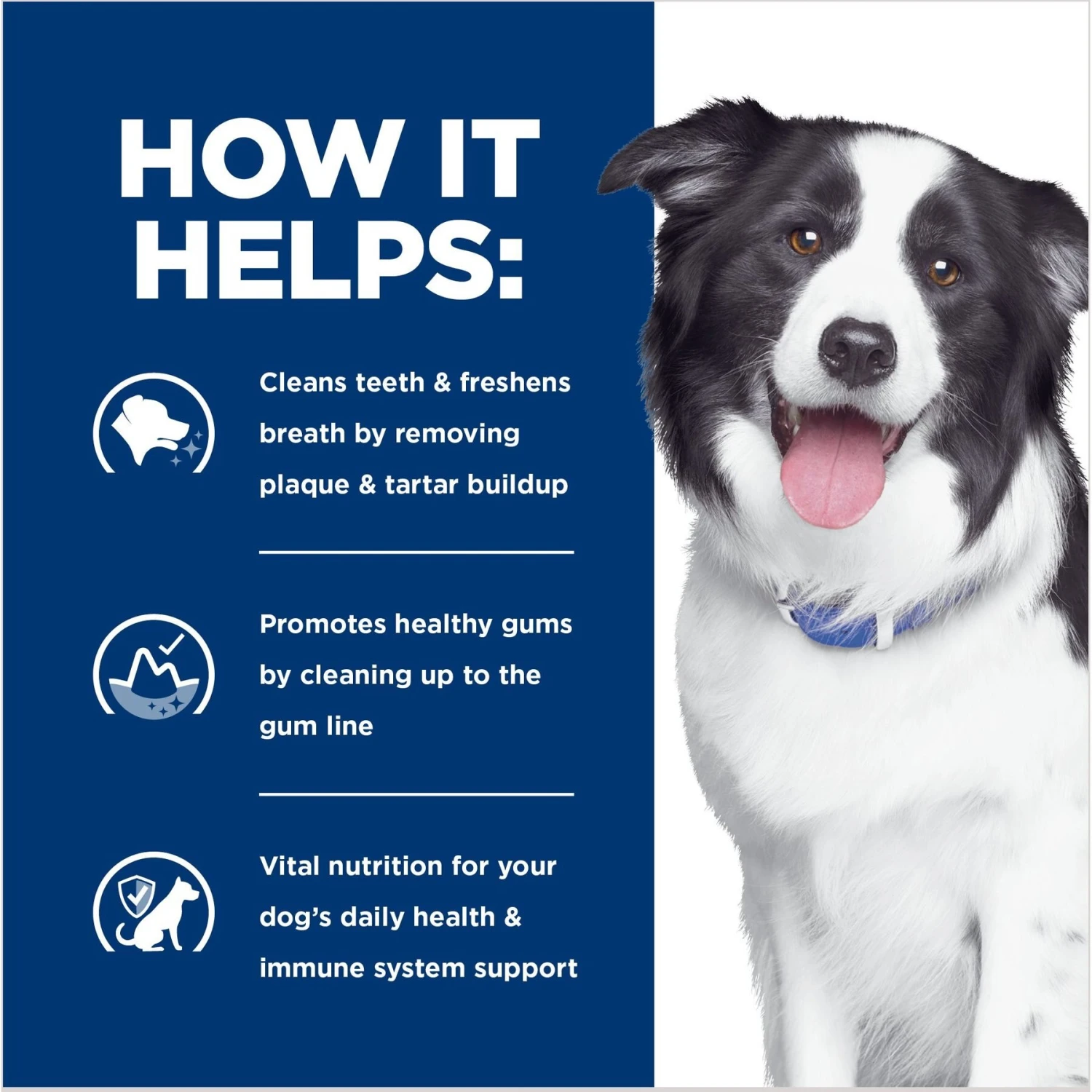 Hill's Prescription Diet T/d Dental Care Chicken Flavor Dry Dog Food 4 Hill's Prescription Diet T/d Dental Care Chicken Flavor Dry Dog Food - Image 4