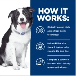 Hill's Prescription Diet T/d Dental Care Chicken Flavor Dry Dog Food 13 Hill's Prescription Diet T/d Dental Care Chicken Flavor Dry Dog Food -Pet Wellness 69790 PT4. AC SS1800 V1668550939