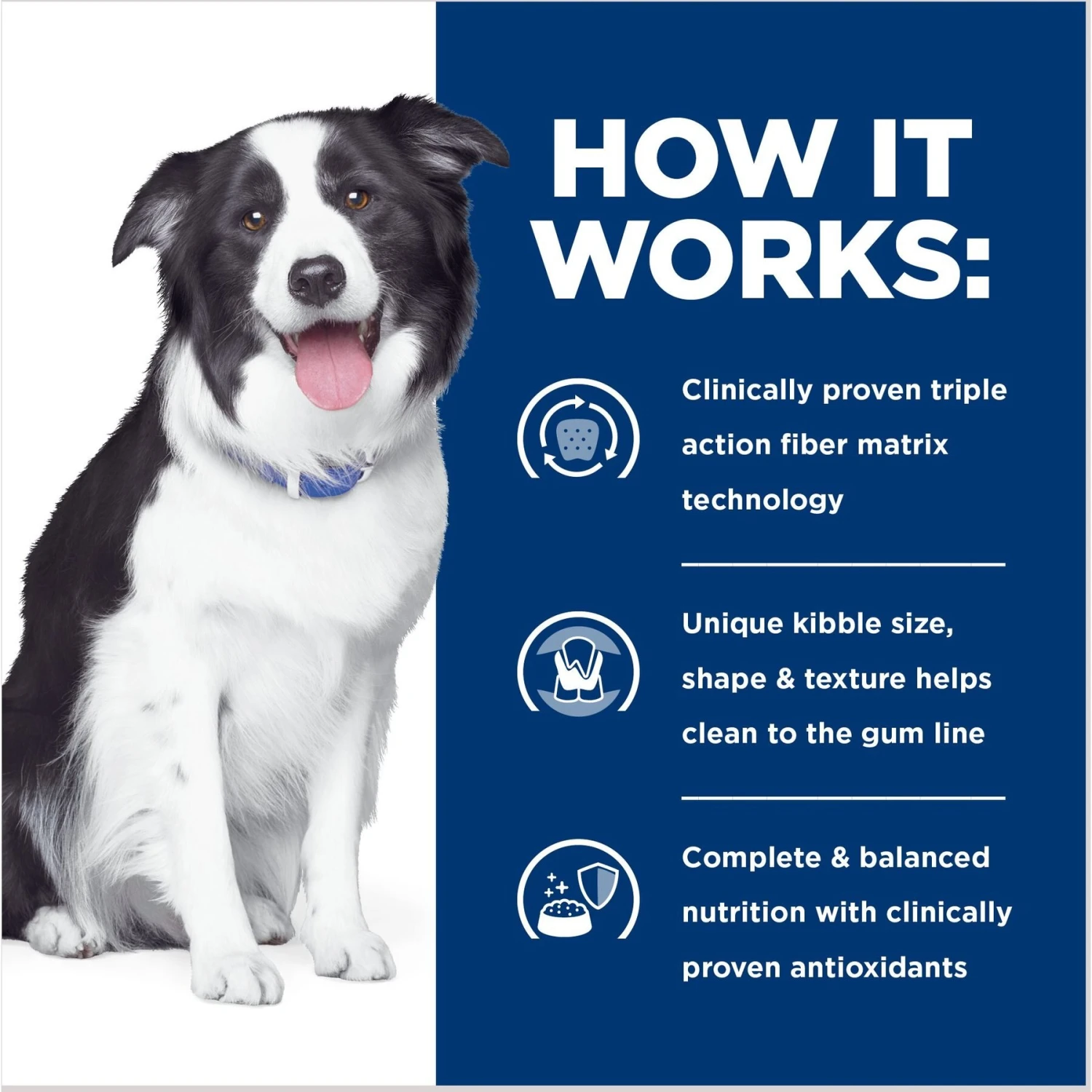 Hill's Prescription Diet T/d Dental Care Chicken Flavor Dry Dog Food 5 Hill's Prescription Diet T/d Dental Care Chicken Flavor Dry Dog Food - Image 5