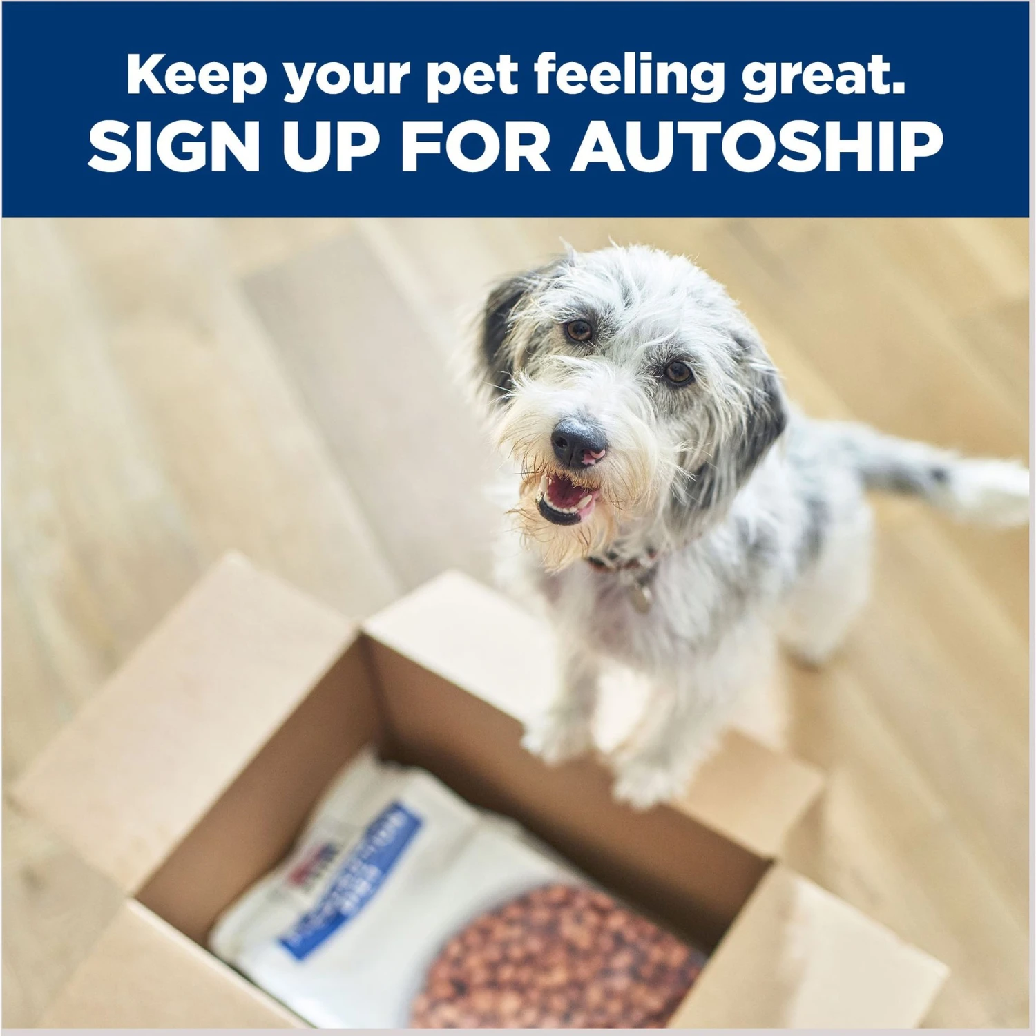 Hill's Prescription Diet T/d Dental Care Chicken Flavor Dry Dog Food 9 Hill's Prescription Diet T/d Dental Care Chicken Flavor Dry Dog Food - Image 9