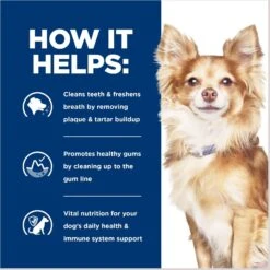 Hill's Prescription Diet T/d Dental Care Small Bites Chicken Flavor Dry Dog Food -Pet Wellness 69792 PT4. AC SS1800 V1687986583