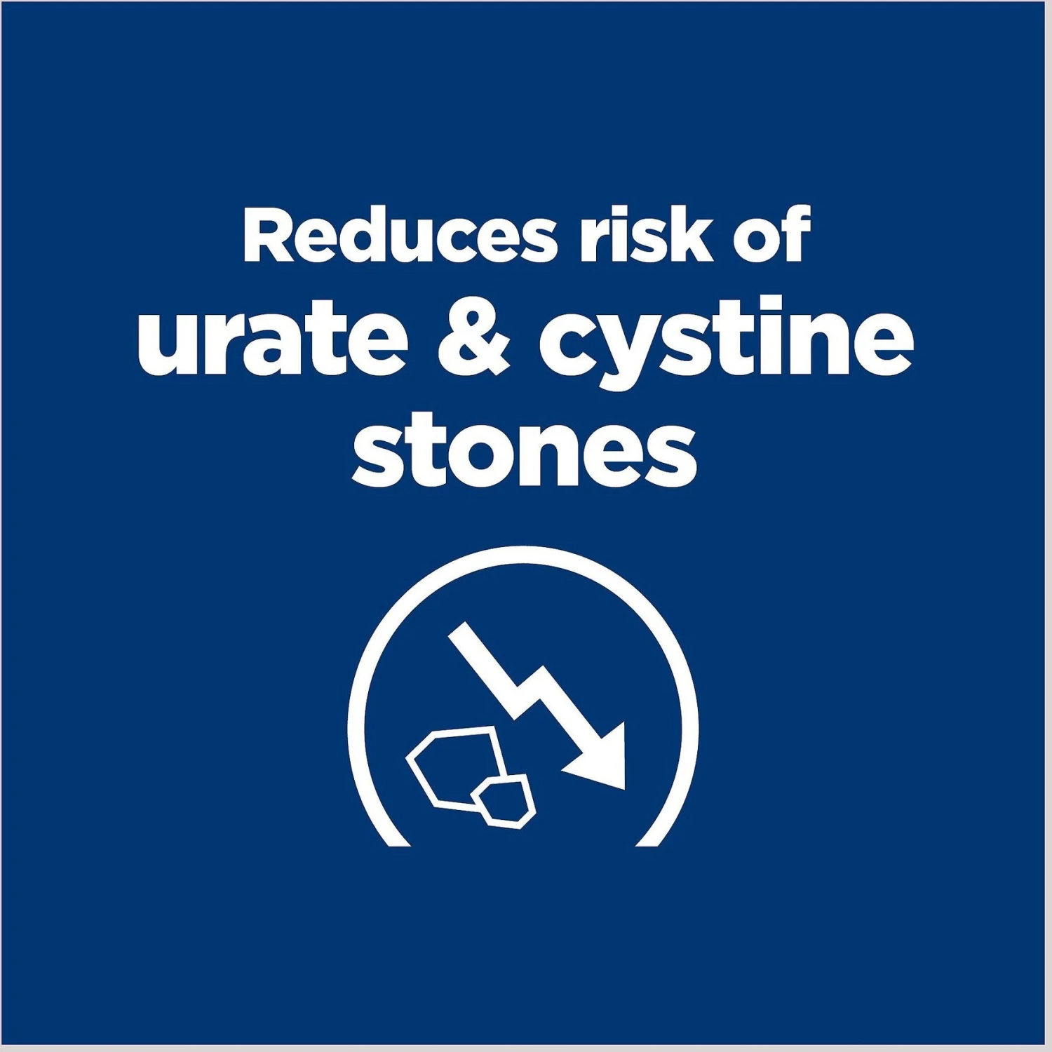 Hill's Prescription Diet U/d Urinary Care Original Flavor Dry Dog Food 4 Hill's Prescription Diet U/d Urinary Care Original Flavor Dry Dog Food - Image 4