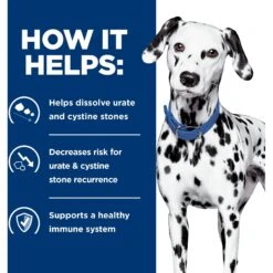 Hill's Prescription Diet U/d Urinary Care Original Flavor Dry Dog Food 13 Hill's Prescription Diet U/d Urinary Care Original Flavor Dry Dog Food -Pet Wellness 69795 PT4. AC SS1800 V1657661020