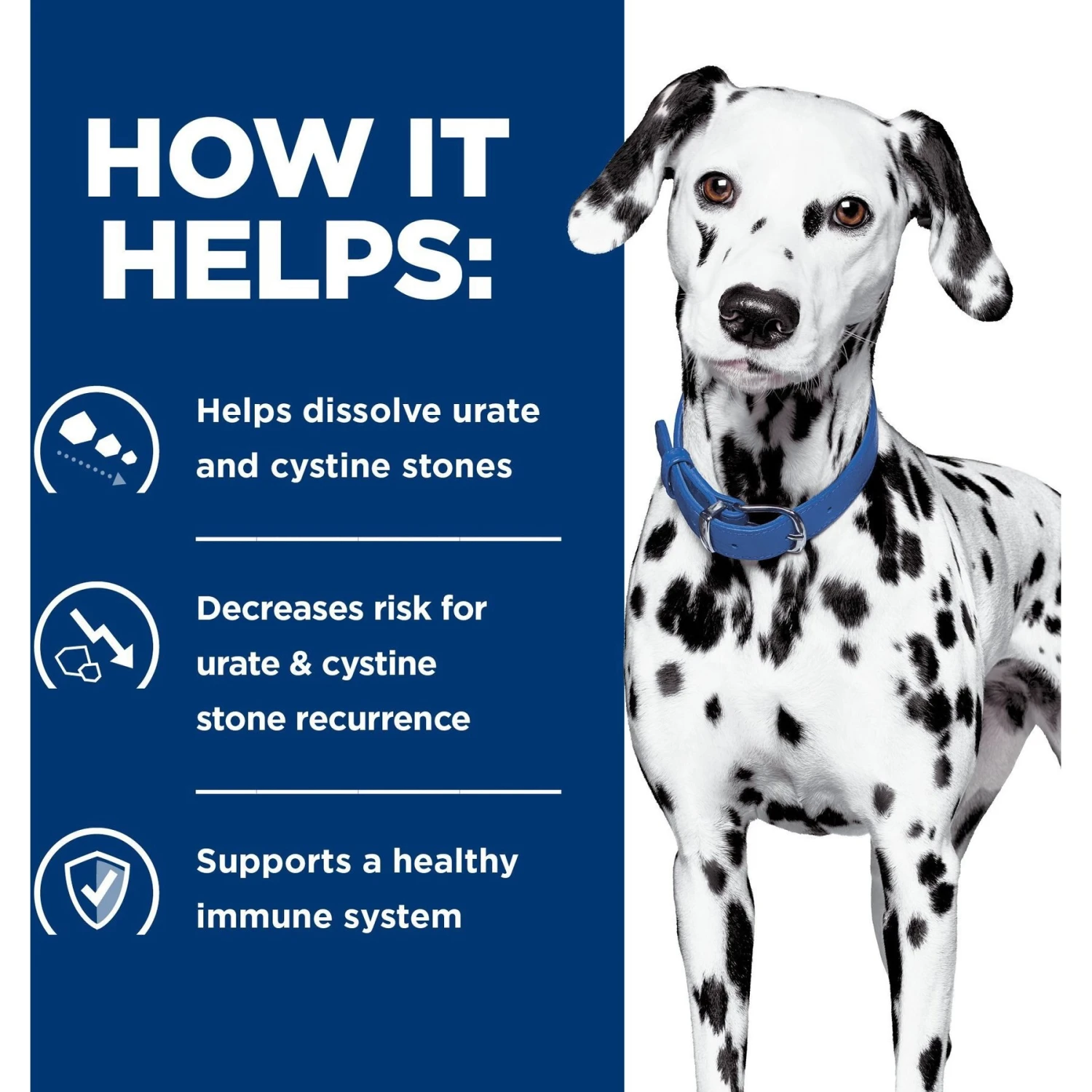 Hill's Prescription Diet U/d Urinary Care Original Flavor Dry Dog Food 5 Hill's Prescription Diet U/d Urinary Care Original Flavor Dry Dog Food - Image 5