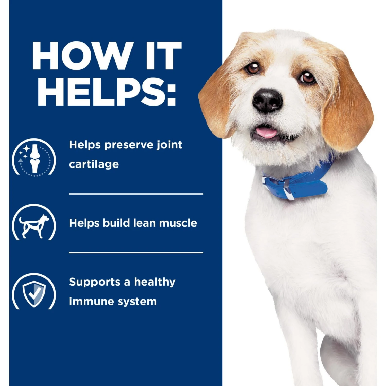 Hill's Prescription Diet J/d Joint Care Small Bites Chicken Flavor Dry Dog Food 4 Hill's Prescription Diet J/d Joint Care Small Bites Chicken Flavor Dry Dog Food - Image 4