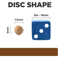 Hill's Prescription Diet J/d Joint Care Small Bites Chicken Flavor Dry Dog Food 15 Hill's Prescription Diet J/d Joint Care Small Bites Chicken Flavor Dry Dog Food -Pet Wellness 69859 PT6. AC SS1800 V1687983002