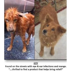 Zymox Veterinary Strength Enzymatic Dog & Cat Shampoo -Pet Wellness 69878 PT6. AC SS1800 V1543009582