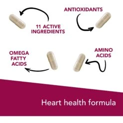 VetriScience Cardio Strength Capsules Heart Supplement For Cats & Dogs -Pet Wellness 69894 PT3. AC SS1800 V1658944058