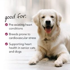VetriScience Cardio Strength Capsules Heart Supplement For Cats & Dogs -Pet Wellness 69894 PT5. AC SS1800 V1658944062