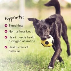 VetriScience Vetri Cardio Canine Soft Chews Heart Supplement For Dogs 9 VetriScience Vetri Cardio Canine Soft Chews Heart Supplement For Dogs -Pet Wellness 69896 PT3. AC SS1800 V1658944059