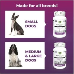 VetriScience Immune Plus Immunity Support For Dogs 13 VetriScience Immune Plus Immunity Support For Dogs -Pet Wellness 69900 PT4. AC SS1800 V1683731170