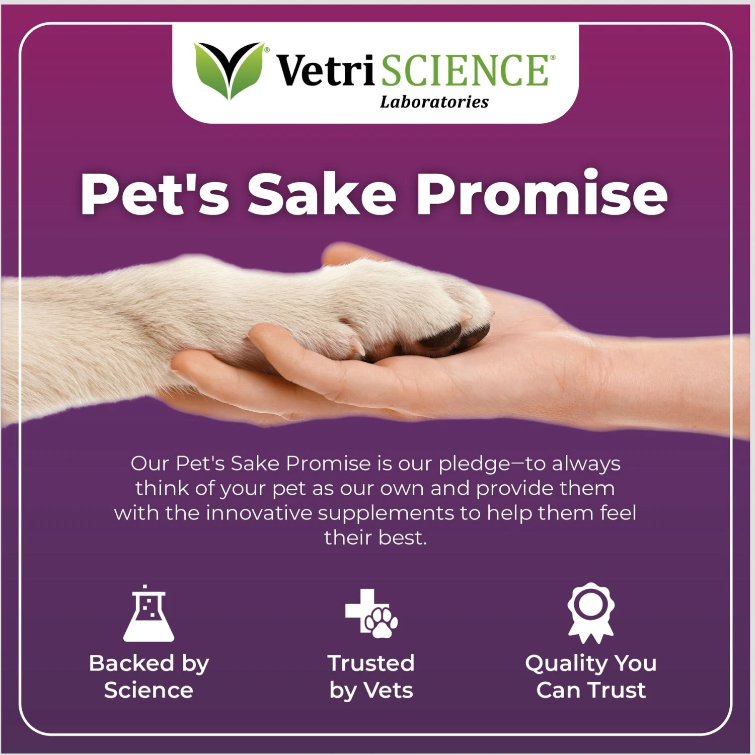 VetriScience Immune Plus Immunity Support For Dogs 6 VetriScience Immune Plus Immunity Support For Dogs - Image 6
