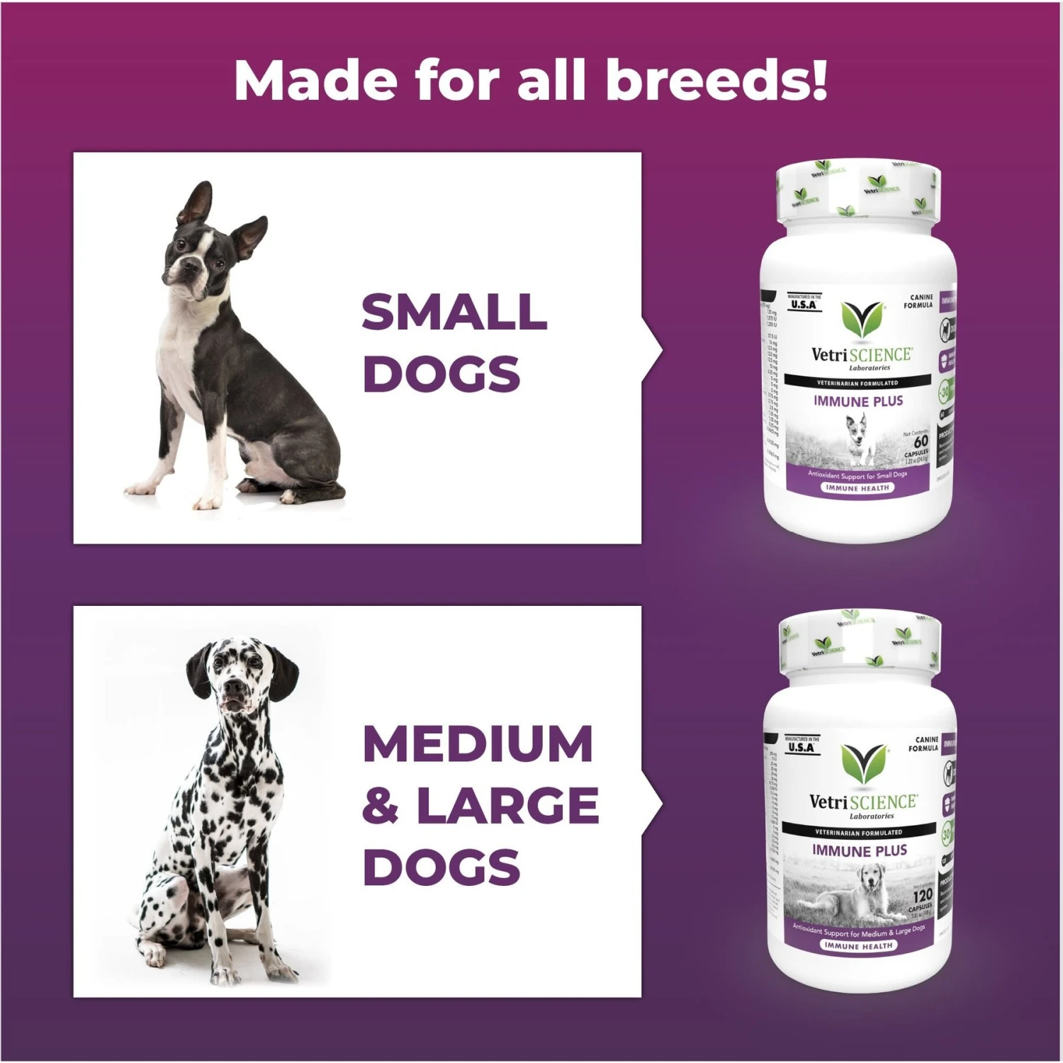 VetriScience Immune Plus Immunity Support For Dogs 8 VetriScience Immune Plus Immunity Support For Dogs - Image 8