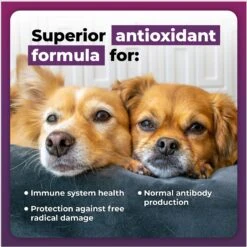 VetriScience Immune Plus Immunity Support For Dogs 17 VetriScience Immune Plus Immunity Support For Dogs -Pet Wellness 69900 PT8. AC SS1800 V1683731149