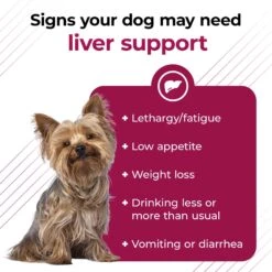 VetriScience VETRI SAMe 90 Tablets Liver Supplement For Cats & Dogs -Pet Wellness 69966 PT3. AC SS1800 V1658260076