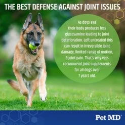 Pet MD Advanced Hip & Joint Supplement For Dogs, 120 Count -Pet Wellness 703766 PT2. AC SS1800 V1667928301