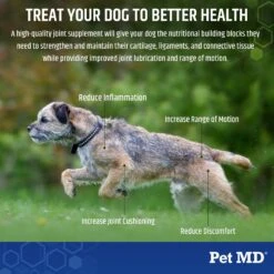 Pet MD Advanced Hip & Joint Supplement For Dogs, 120 Count -Pet Wellness 703766 PT4. AC SS1800 V1667949081