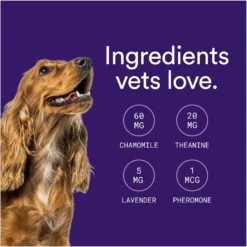 Foster Advanced Calming Banana & Beef Flavored Soft Chews Dog Health Supplement, 90 Count 14 Foster Advanced Calming Banana & Beef Flavored Soft Chews Dog Health Supplement, 90 Count -Pet Wellness 704062 PT5. AC SS1800 V1693496376