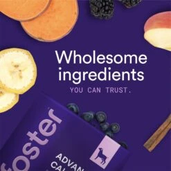 Foster Advanced Calming Banana & Beef Flavored Soft Chews Dog Health Supplement, 90 Count 16 Foster Advanced Calming Banana & Beef Flavored Soft Chews Dog Health Supplement, 90 Count -Pet Wellness 704062 PT7. AC SS1800 V1693496141